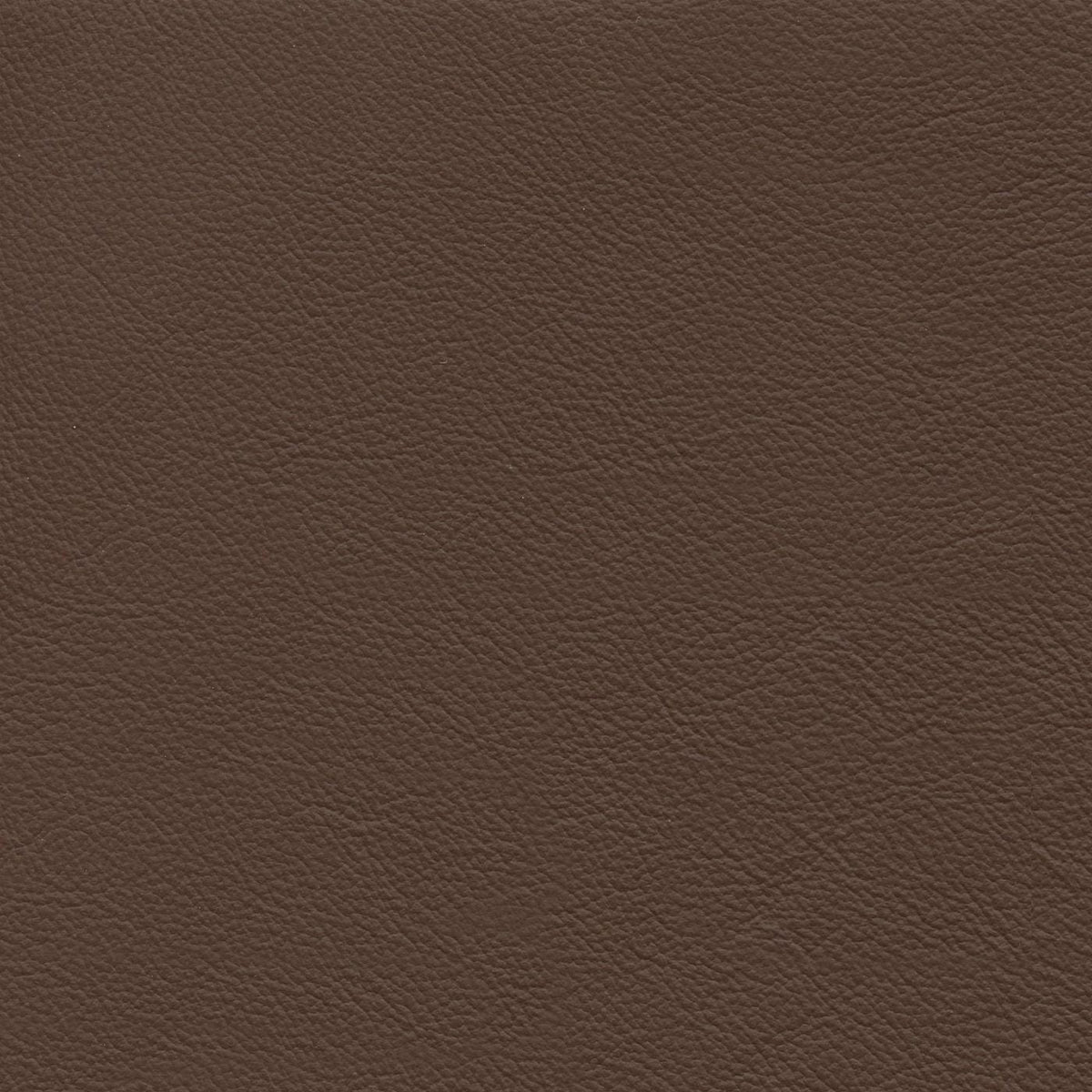 Roxbury Cl635 Chocolate
