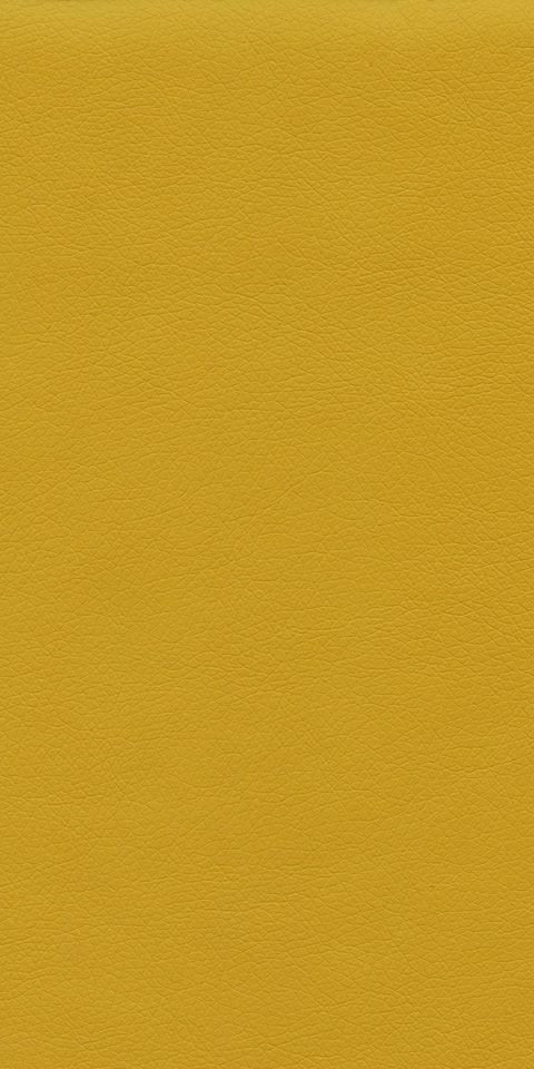 Ryder 206170 Mustard Spice