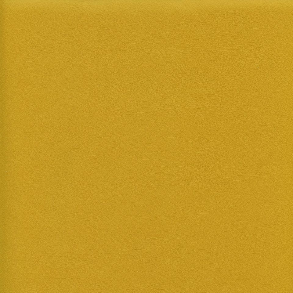 Ryder 206170 Mustard Spice