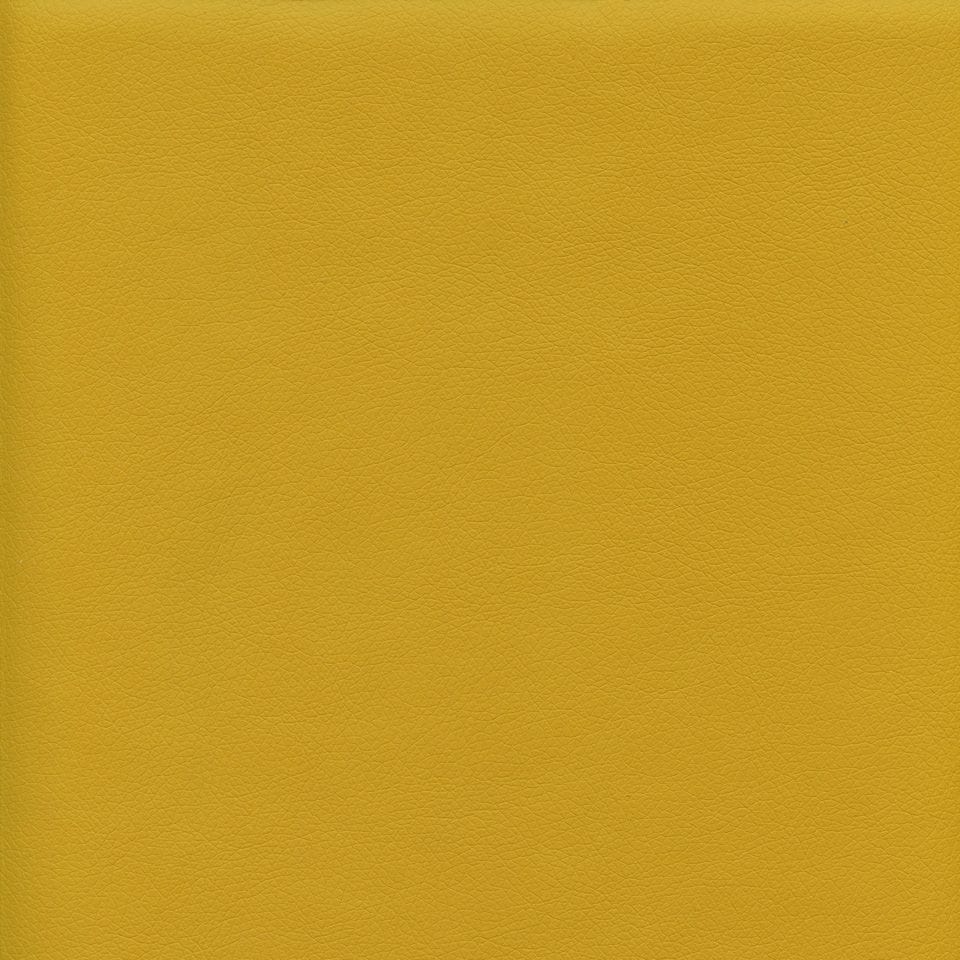 Ryder 206170 Mustard Spice