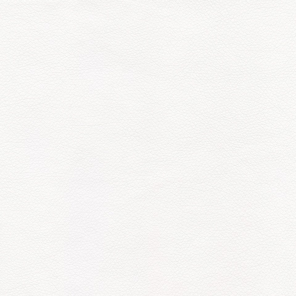 Ryder 206195 Blank Page
