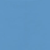 Ryder 206208 Blue Lagoon