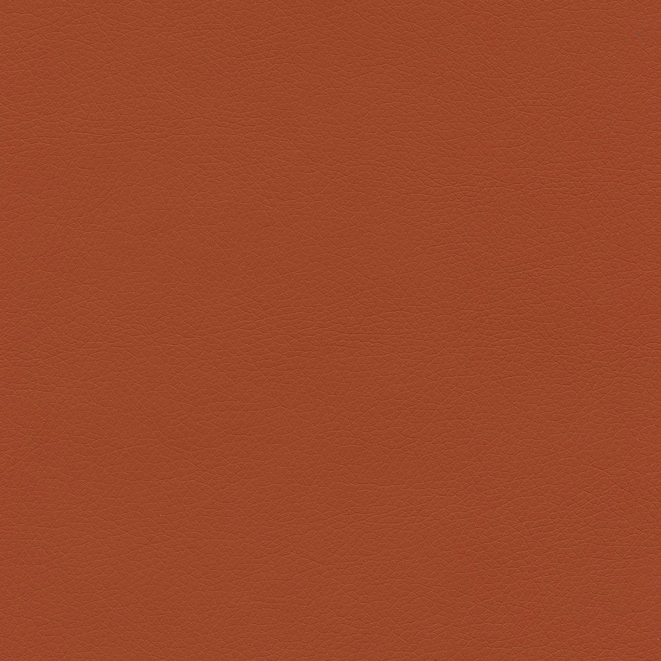 Ryder 206216 Burnt Orange