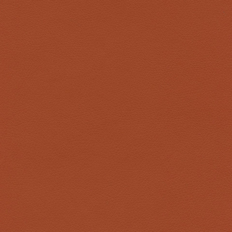 Ryder 206216 Burnt Orange