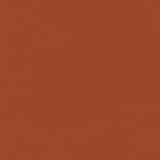 Ryder 206216 Burnt Orange