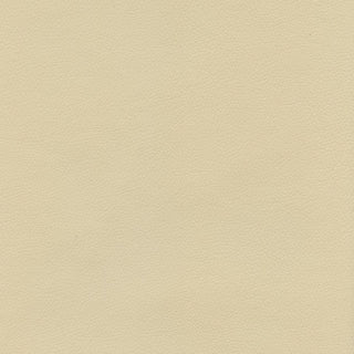 Ryder 206228 Yellowstone