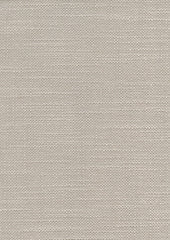 Solei 220155 Capstone