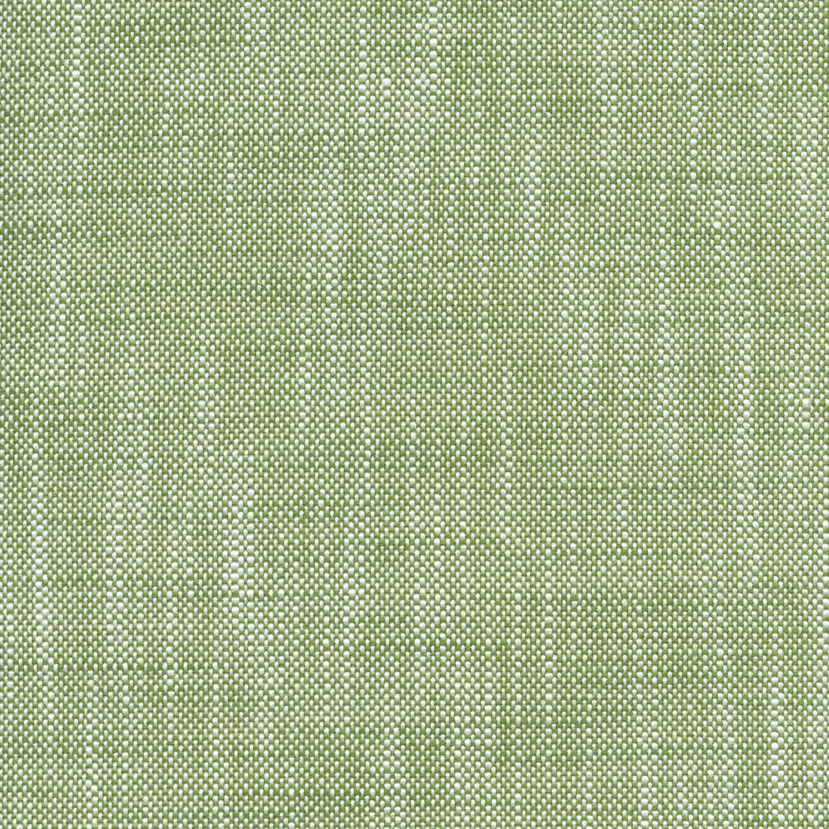 Solei 220167 Vine