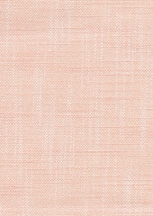 Solei 220171 Coral Reef