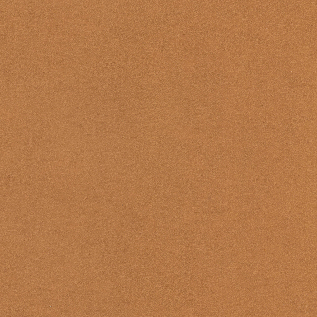 Utopia 141205 Antique