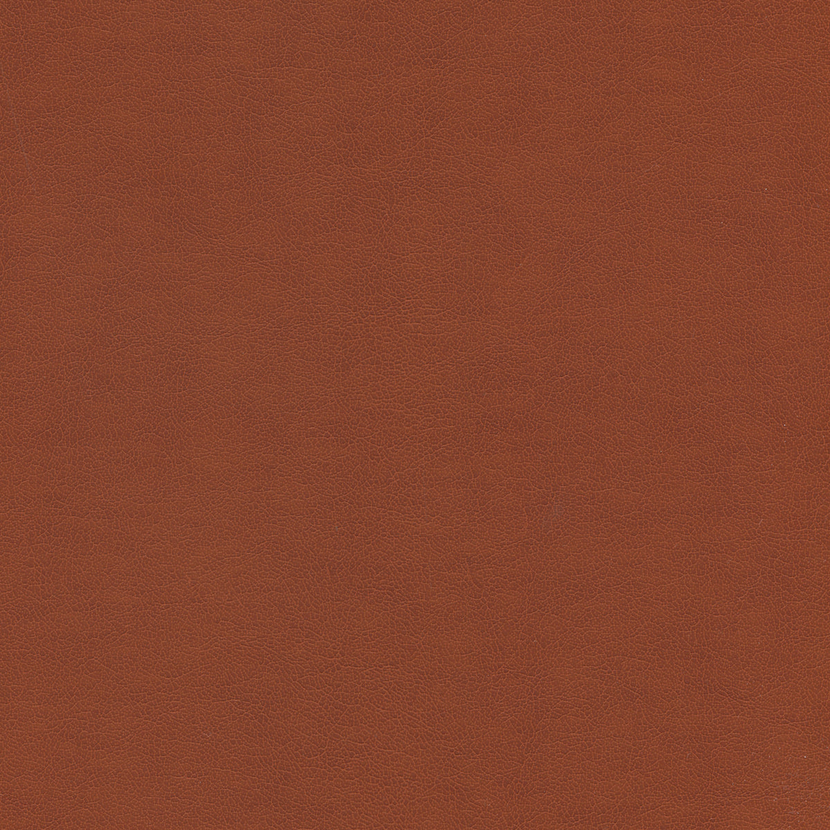 Utopia 141210 Canelle