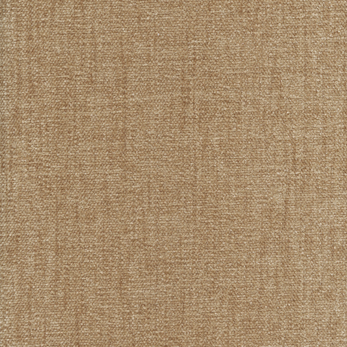 Wyatt 221501 Pacco