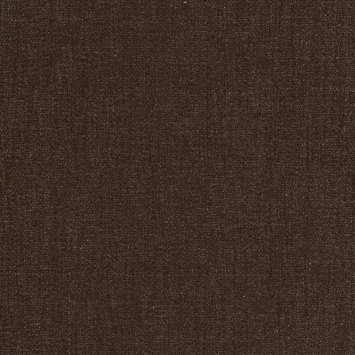 Wyatt 221504 Godiva