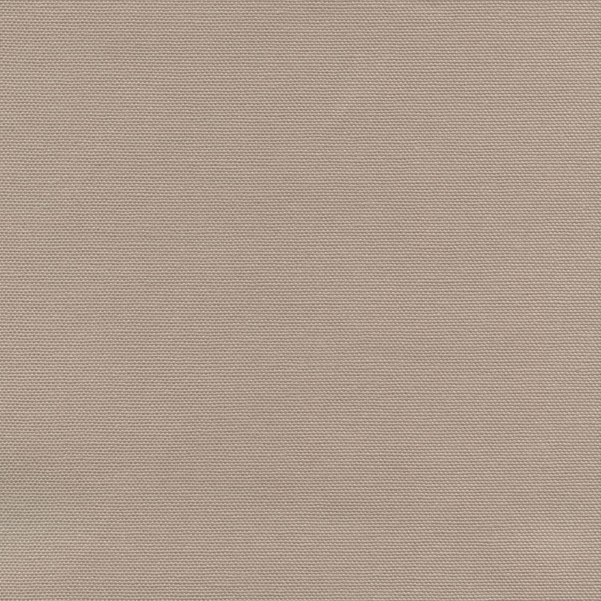 Zenya 192937 Peanut