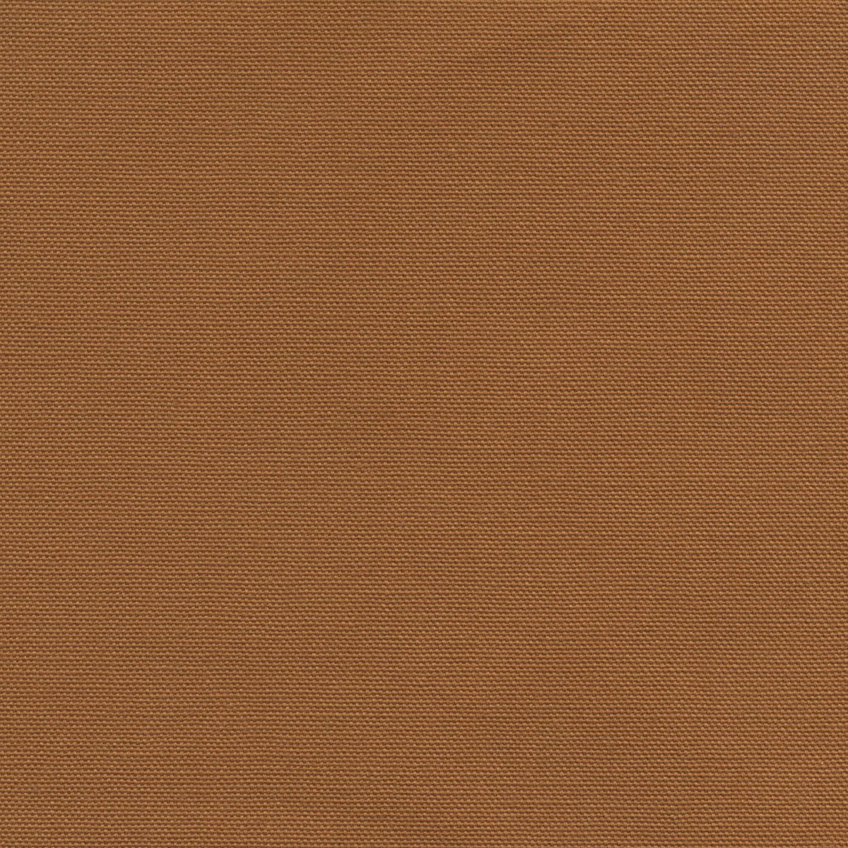 Zenya 192938 Copper