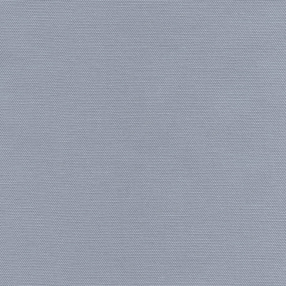 Zenya 192939 Pigeon