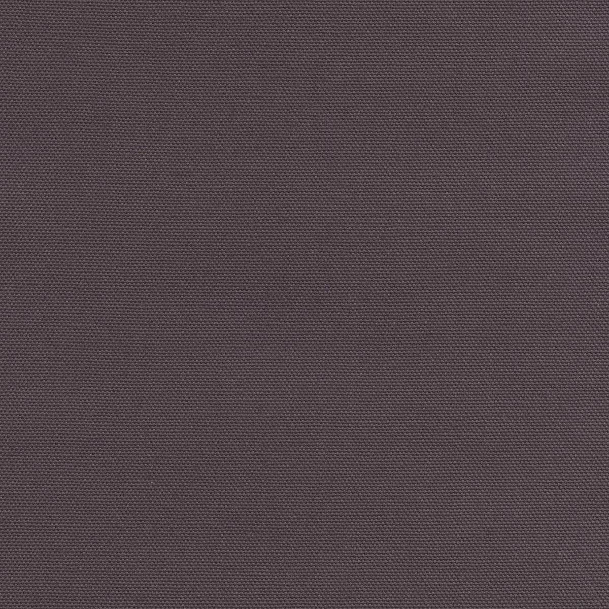 Zenya 192941 Hickory