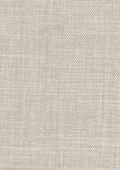 Zipper 220301 Waikiki