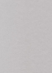 Ashton A100 Silver Statue