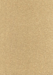 Delano Mohair 664253 Beige