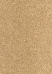 Delano Mohair 664265 Sahara