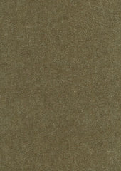 Delano Mohair 664266 Moss