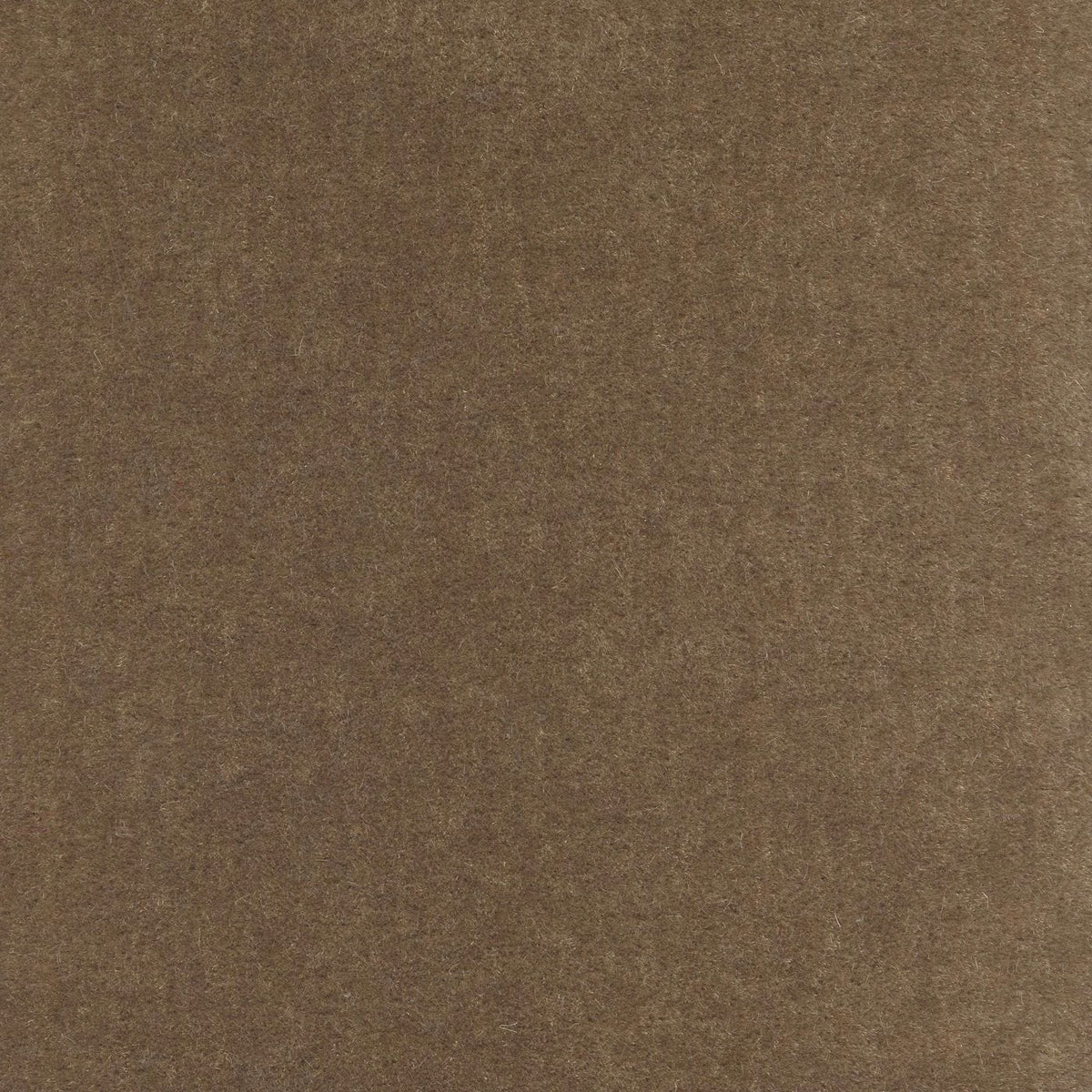 Delano Mohair 664267 French Taupe