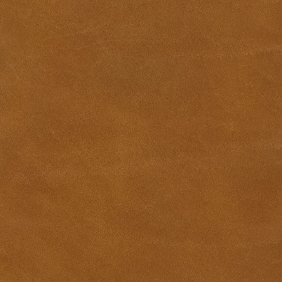 Gemma Lx5093 Coppersmith