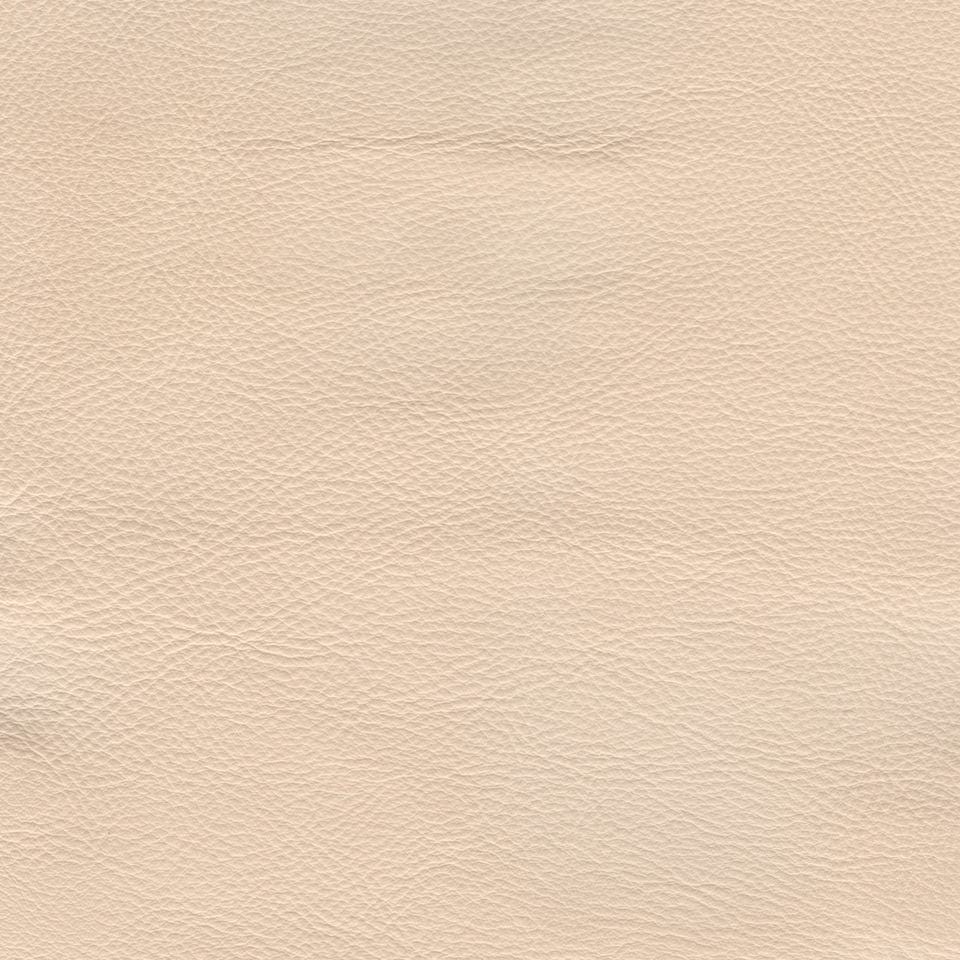 Genesis Cl342 Eggshell