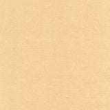 Rembrandt 598738 Nude