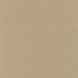 Rembrandt 598742 Sand
