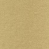 Rembrandt 598747 Stone