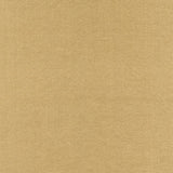 Rembrandt 598748 Mushroom