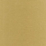 Rembrandt 598749 Willow