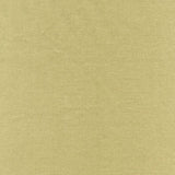 Rembrandt 598752 Mist