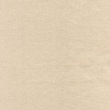 Rembrandt 598778 Clay