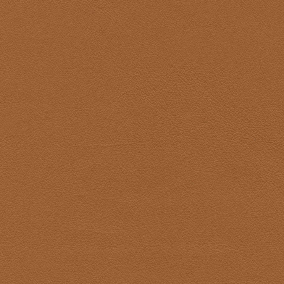 Roxbury Cl636 Lorange