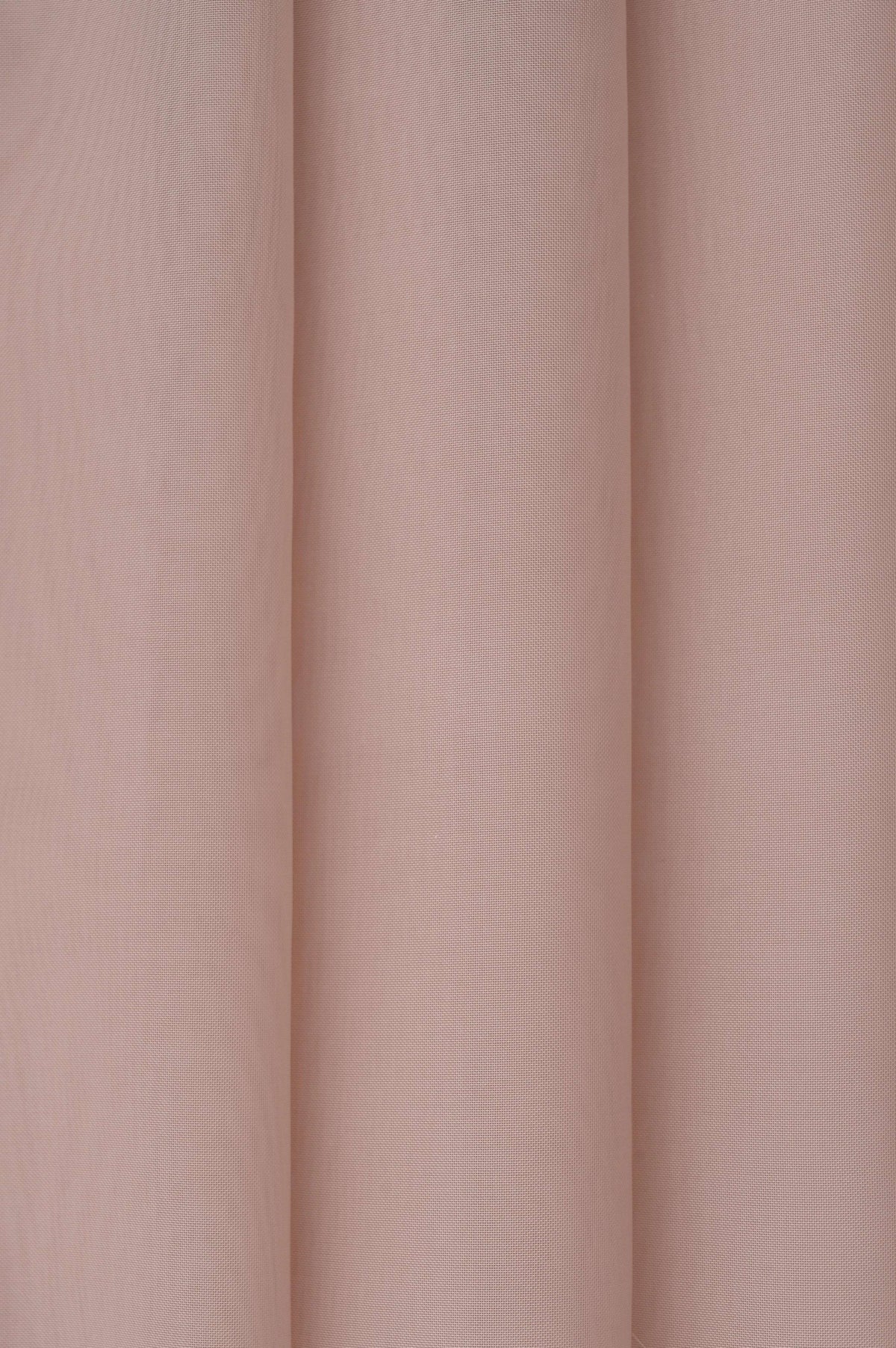 alpha rose 4004969-01