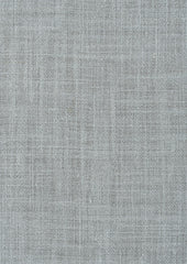 Theretro L.Blue 4181229-01