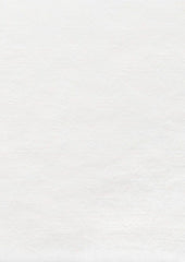 Obvious White 4801210-03