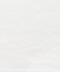 Obvious White 4801210-03