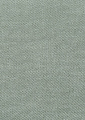 Fast Green Tea 6902887-01