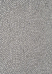 Disco Silver 7501838-01