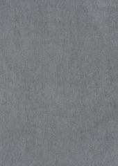 Vellutino Grey 8107418-01