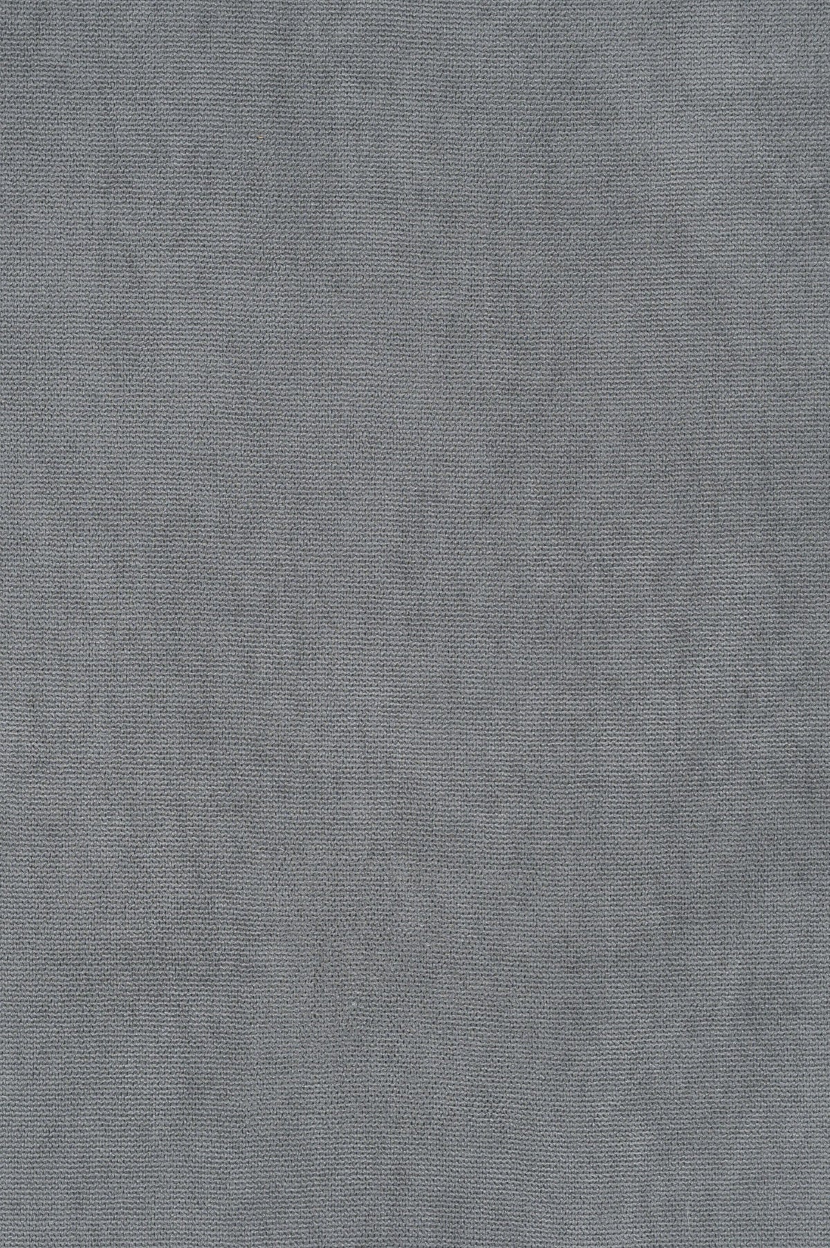 Vellutino Grey 8107418-01