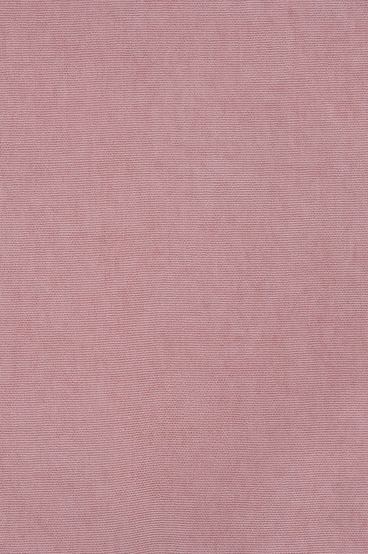 Vellutino Rose 8107469-01