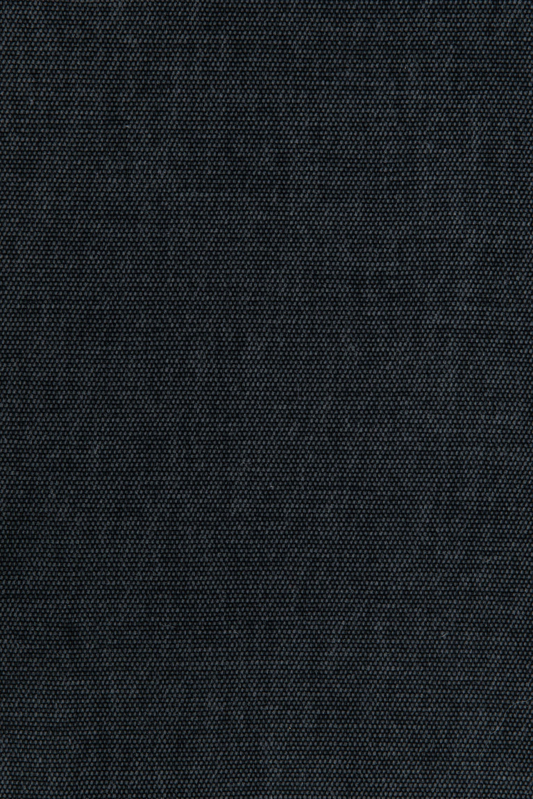 Fortune Anthrax 9706161-01