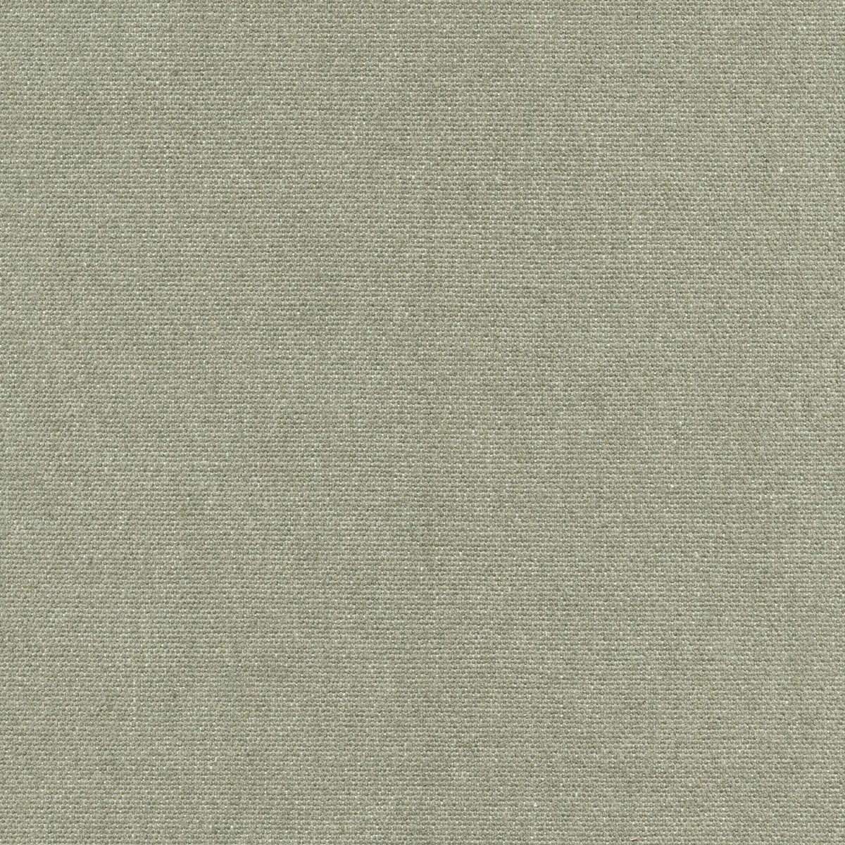 Ahau 194550 Sencha