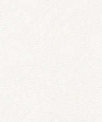 Aries Lx5117 White Ice