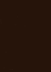 Rembrandt 598760 Auberge Brown
